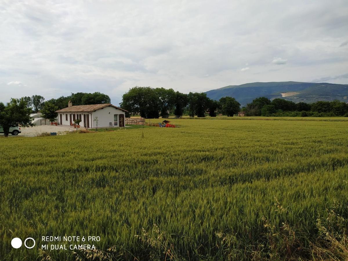 Agriturismo " Le Serre" スペッロ エクステリア 写真