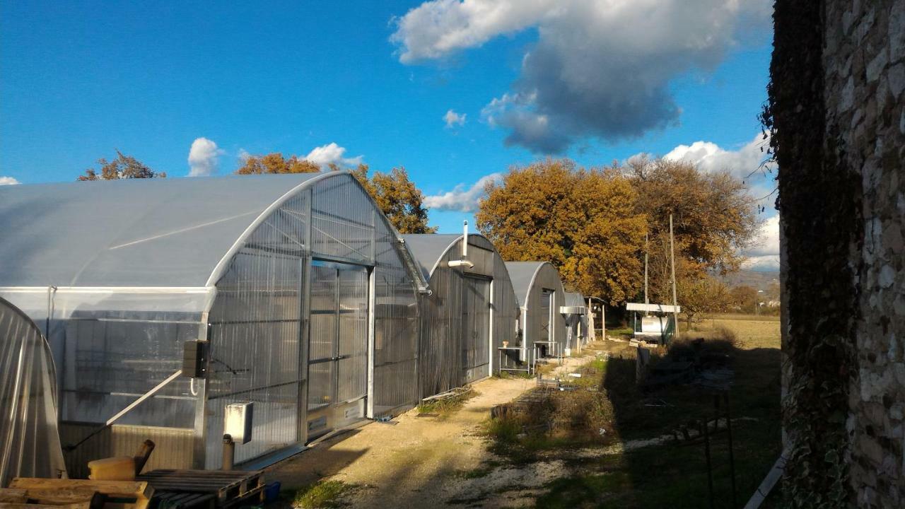 Agriturismo " Le Serre" スペッロ エクステリア 写真