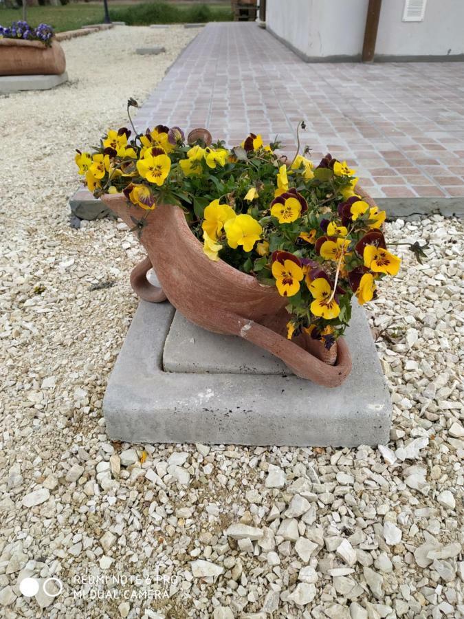 Agriturismo " Le Serre" スペッロ エクステリア 写真
