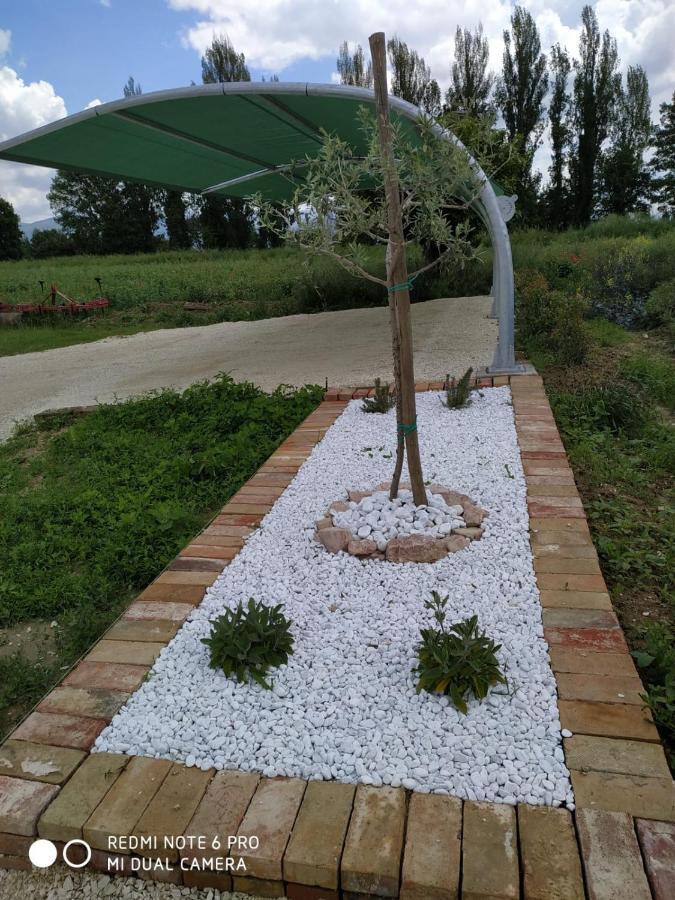 Agriturismo " Le Serre" スペッロ エクステリア 写真