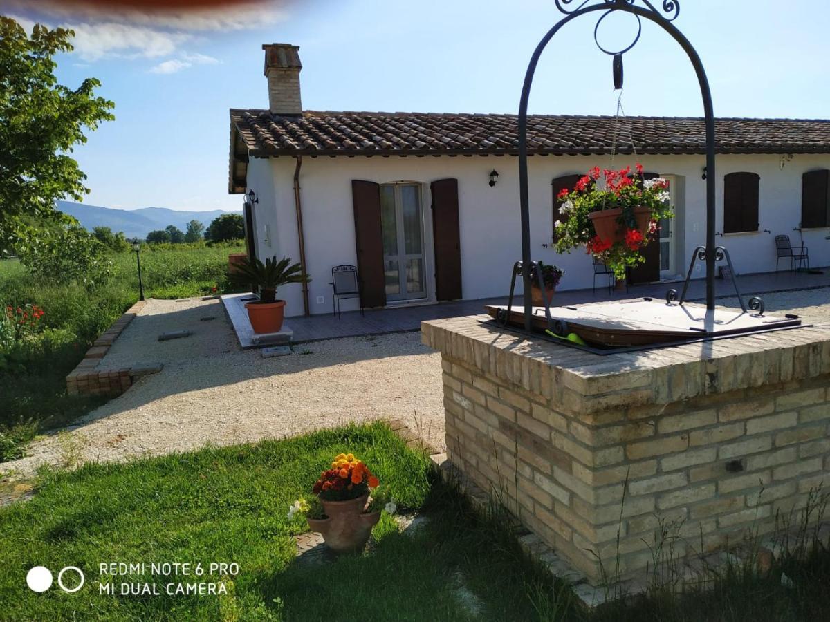 Agriturismo " Le Serre" スペッロ エクステリア 写真