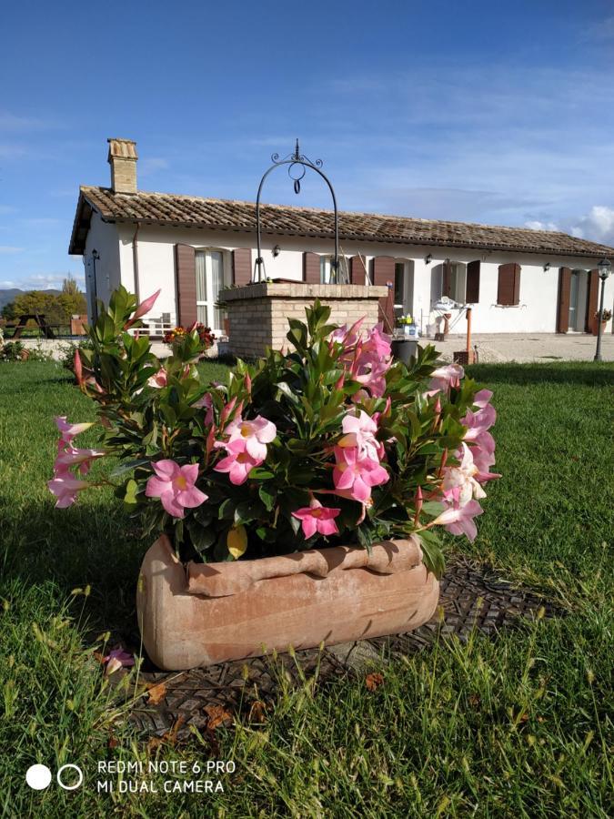 Agriturismo " Le Serre" スペッロ エクステリア 写真